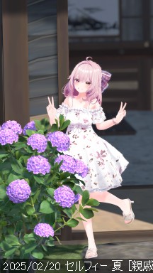 2025/02/20 .png