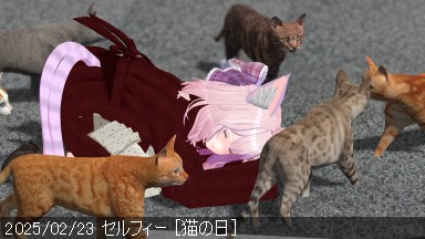 2025/02/23 .png