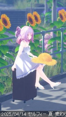 2025/04/14 .png